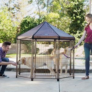 Read more about the article The Pet Gazebo Goes Where Summer Takes You!