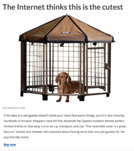 Read more about the article Reader’s Digest Recommends The Pet Gazebo!