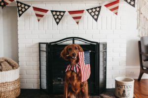 Read more about the article 4th of July Tips + Tricks