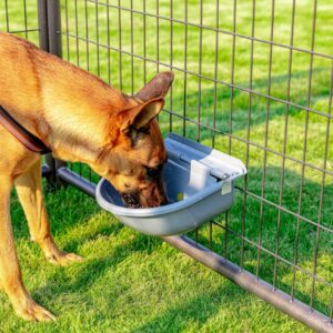 Automatic Animal Drinking Water Bowl with 1 Extra Float