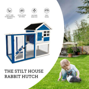 Stilt House Rabbit Hutch